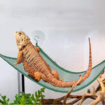 Bearded dragon resting on a green fabric lizard lounger