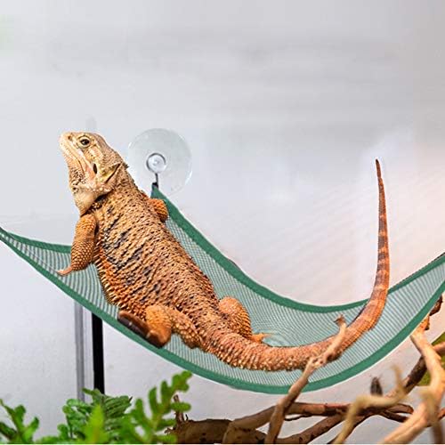 Bearded dragon resting on a green fabric lizard lounger