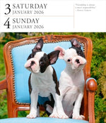 Dog Page-A-DayÂ® Gallery Calendar 2026: An Elegant Canine Celebration - Image 6