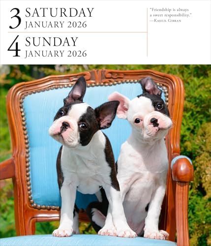 Dog Page-A-DayÂ® Gallery Calendar 2026: An Elegant Canine Celebration - Image 6