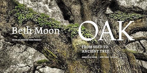 Oak: From Seed to Ancient Tree - Image 3