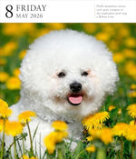 Dog Page-A-DayÂ® Gallery Calendar 2026: An Elegant Canine Celebration - Image 7