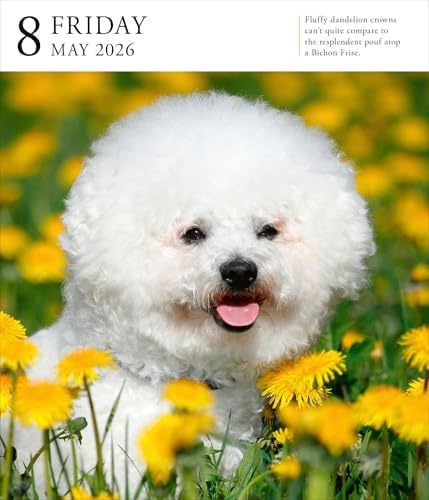 Dog Page-A-DayÂ® Gallery Calendar 2026: An Elegant Canine Celebration - Image 7