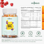 NAC Supplement 1000mg for Adults & 500mg for Kids, N-Acetyl Cysteine Supplement Gummies, Synergistic Antioxidant, Vegan, Sugar-Free 60 Gummies - Image 6