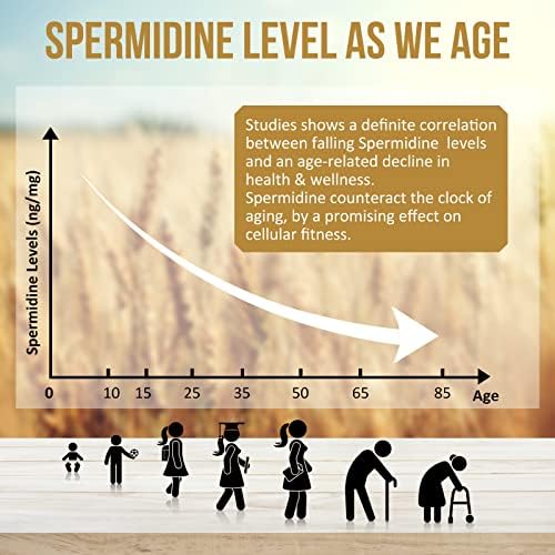 Thalacy spermidine capsules showing natural non-synthetic formula