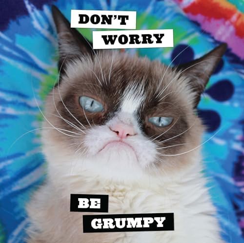 Grumpy Cat 2025 Wall Calendar - Image 5