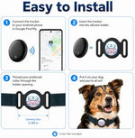 Compact and lightweight GPS tracking collar worn by a small dog breed.