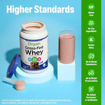 Orgain chocolate fudge protein shake prepared in a blender bottle with fresh ingredients