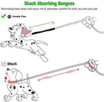 Reflective strips on blue bungee dog leash extension