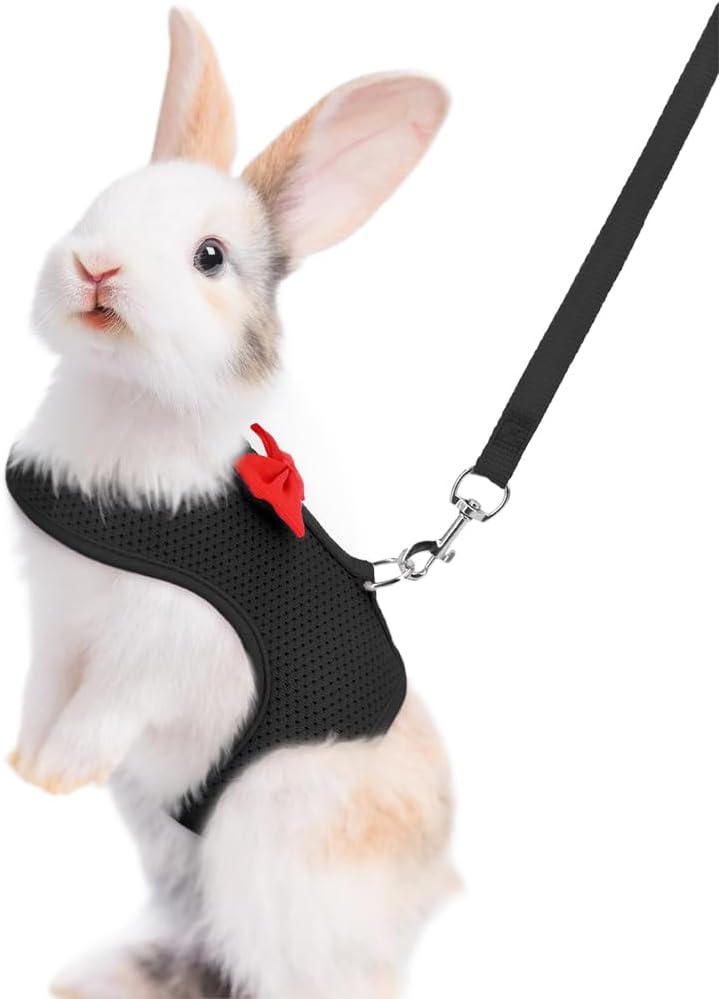 PSPORT rabbit harness and leash set front view showing black mesh vest and red bow