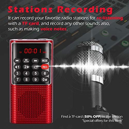 Prunus J-328 digital radio with display screen active