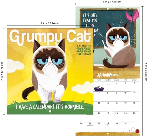 2025 Grumpy Cat Mini Wall Calendar - Image 8