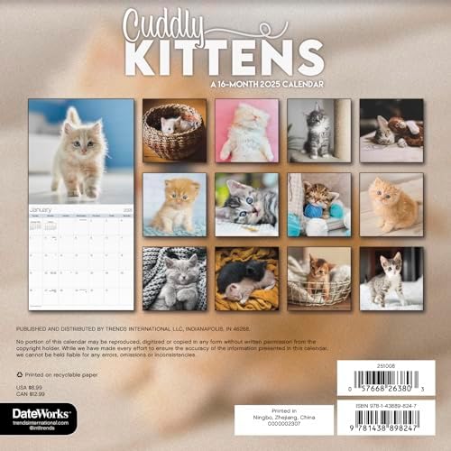 2025 Cuddly Kittens Mini Wall Calendar - Image 5