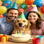 Assorted pastel colors birthday party hats stack