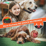 Waterproof rechargeable pet training device being used in outdoor rainy conditions.