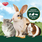 Authentic USA imported Kaytee small pet hay close up texture showing leaf to stem ratio.