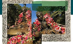 Flower Flash - Image 7