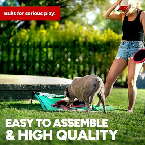 Golf Pong game set components and carrying case