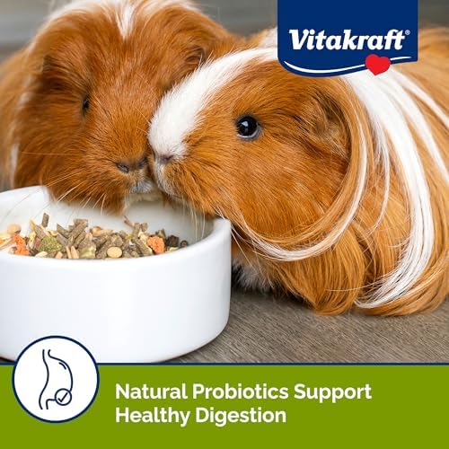 Vitakraft imported guinea pig pellet diet package size information view.