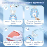 Retail packaging of PVOGRT replacement brush head set for sonic toothbrushes.