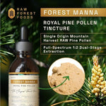 Raw Forest Foods cracked cell wall pine pollen tonic dropper bottle for hormonal vitality