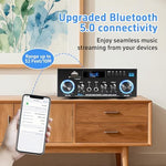 Joengoep AK50 premium metal body stereo receiver showcasing USB and SD card multimedia slots