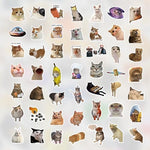 High quality cat meme decals for scrapbooking and decoration