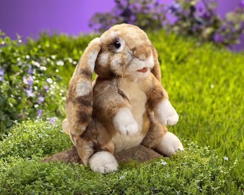 Educational display of Folkmanis rabbit puppet in a classroom setting