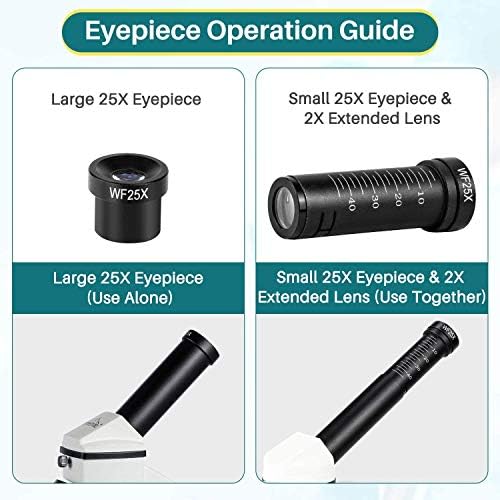 Microscope for Kid Student Adult, 100X-2000X Compound Monocular Microscope with Mechanical Platform Slides Set, Phone Adapter for School Home Education - Image 7