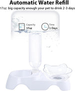 MILIFUN 15 degree tilted pet bowl highlighting the ergonomic neck protection design for cats
