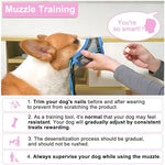 Adjustable strap and buckle detail on Luckypaw dog muzzle