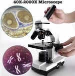 WQV microscope eyepiece and objective lens detail