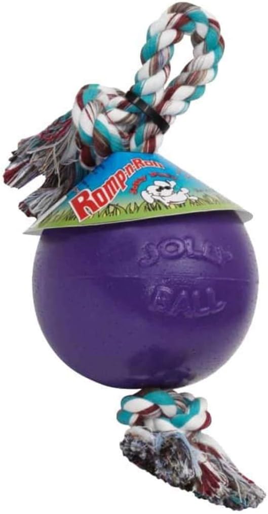 Medium size Jolly Pets blue dog ball with cotton rope