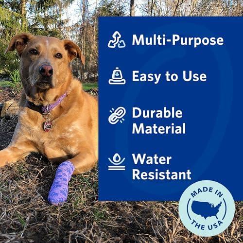 Two rolls of two inch self adhering elastic veterinary wrap for wound care