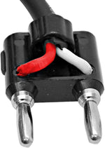 Seismic Audio 6 inch patch cable pair layout