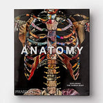 Anatomy: Exploring the Human Body - Image 4