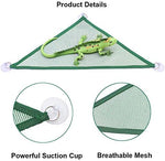 Adoggygo lizard hammock ladder setup in terrarium