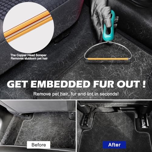 Pet hair removal tool being used on a living room carpet.