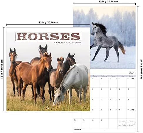 2024 Horses Wall Calendar - Image 8