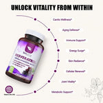 Close up of Biodora Resveratrol bottle cap and packaging
