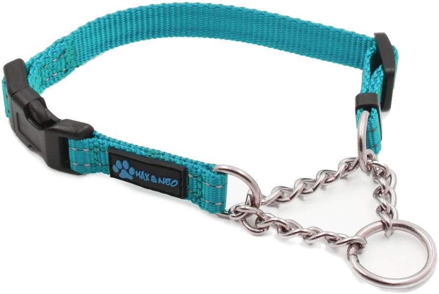 Max And Neo small dog collar metal adjustment slider and tag loop
