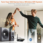 1Mii DS200Pro wireless stereo receiver with high-gain external antenna attached for long range