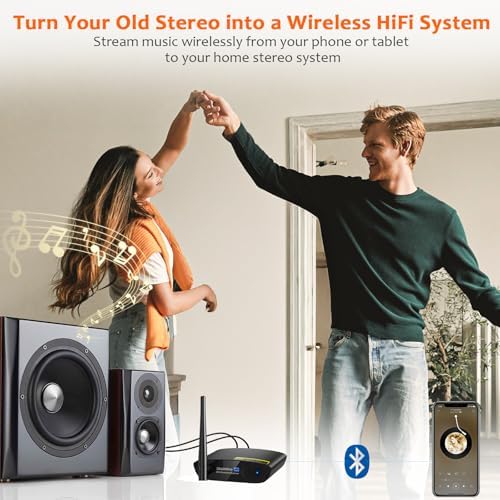 1Mii DS200Pro wireless stereo receiver with high-gain external antenna attached for long range