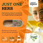 Wild and Organic ninety day supply pine bark extract plant based dietary supplement.