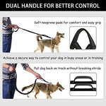 LANNEY shock absorbing bungee leash attached to medium size dog harness