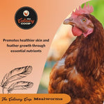 Wholesome natural mealworms for hedgehogs and wild birds premium pet treat display.