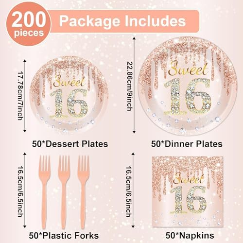 Full 200 piece tableware kit for 16th birthday party