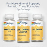 Solaray Zinc Copper authentic USA imported wellness product packaging box display.
