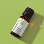 Plant Therapy catnip essential oil box and bottle arrangement