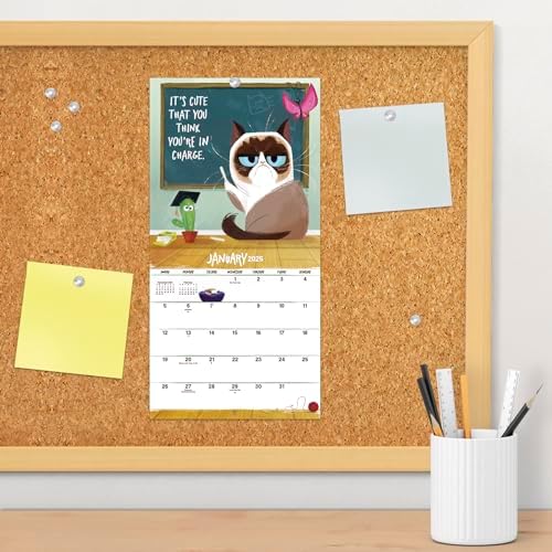2025 Grumpy Cat Mini Wall Calendar - Image 6